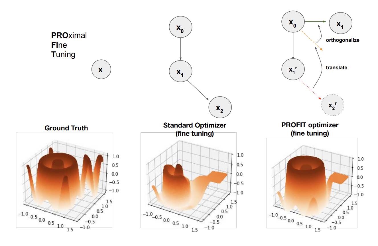 PROFIT: A Specialized Optimizer for Deep Fine Tuning